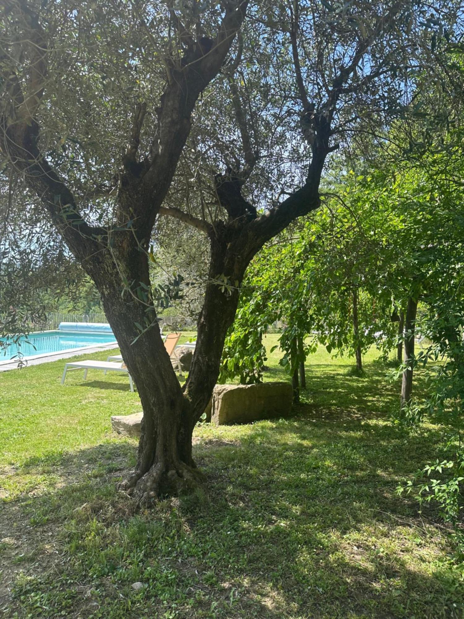 Collina Di Sopra Villa Tresana Eksteriør bilde