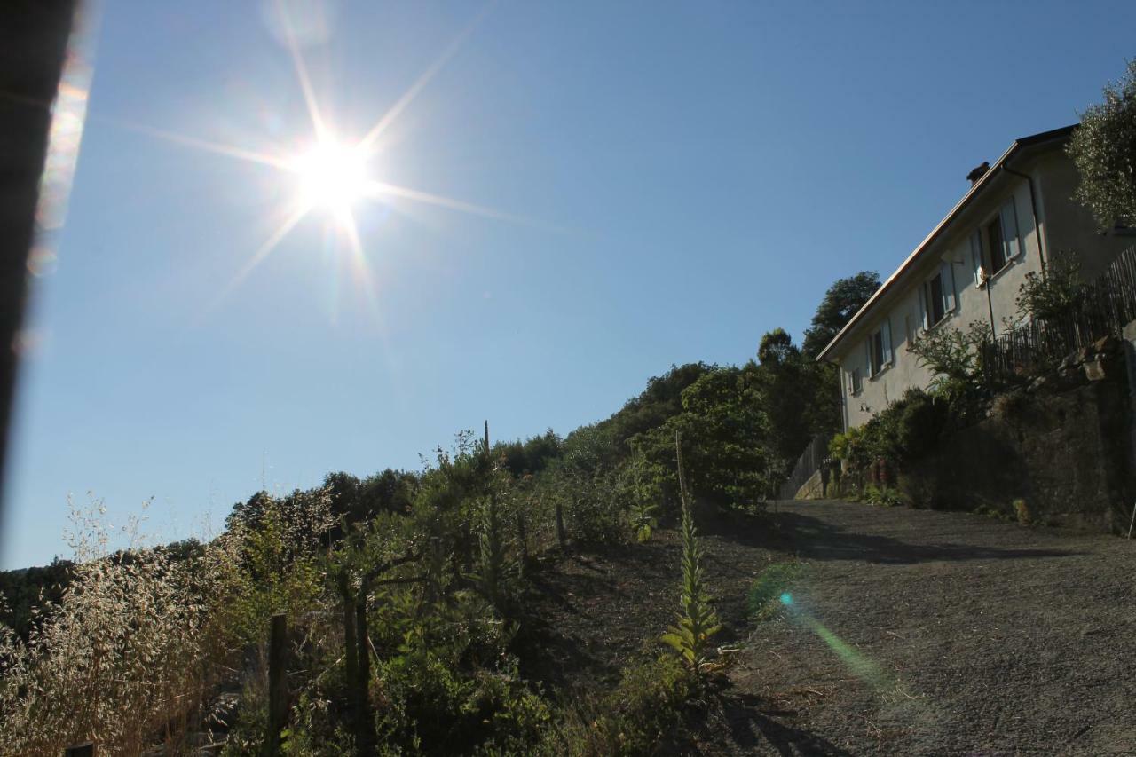 Collina Di Sopra Villa Tresana Eksteriør bilde